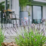 True с видом на горы Apartament