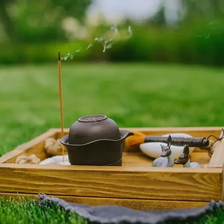 True с видом на горы Apartment Uzhhorod