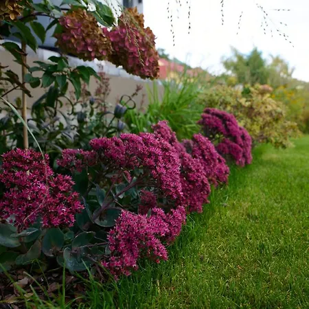 True с видом на горы Uzjhorod